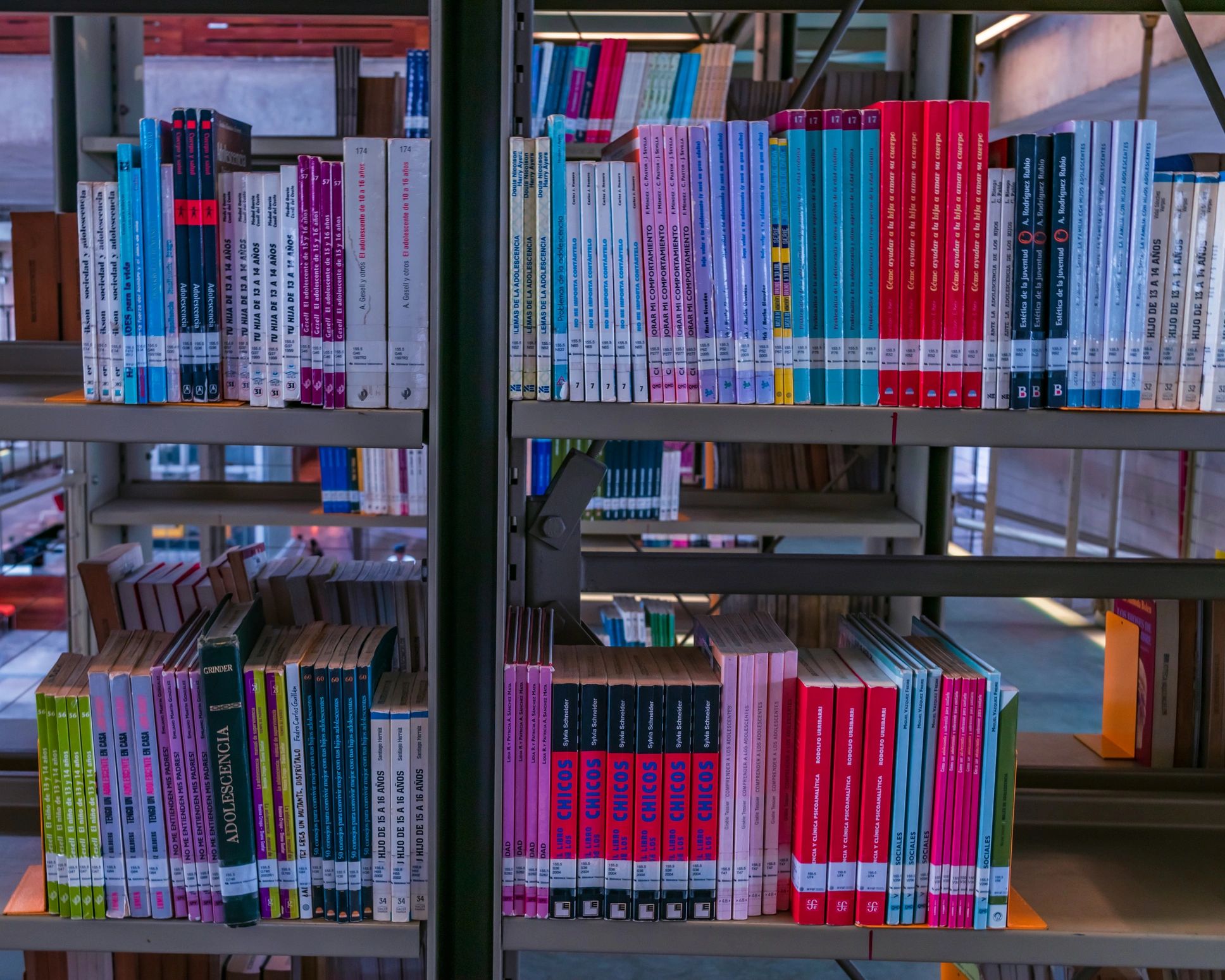 Bookshelves filled with books in a bright bookstore-style interior
